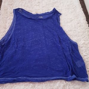 Rosie Harlow blue crop top